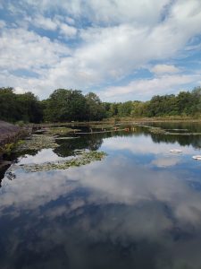 Der NaturaGart Unterwasserpark